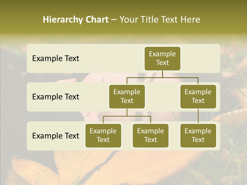 Lifestyles Clothing Maple PowerPoint Template