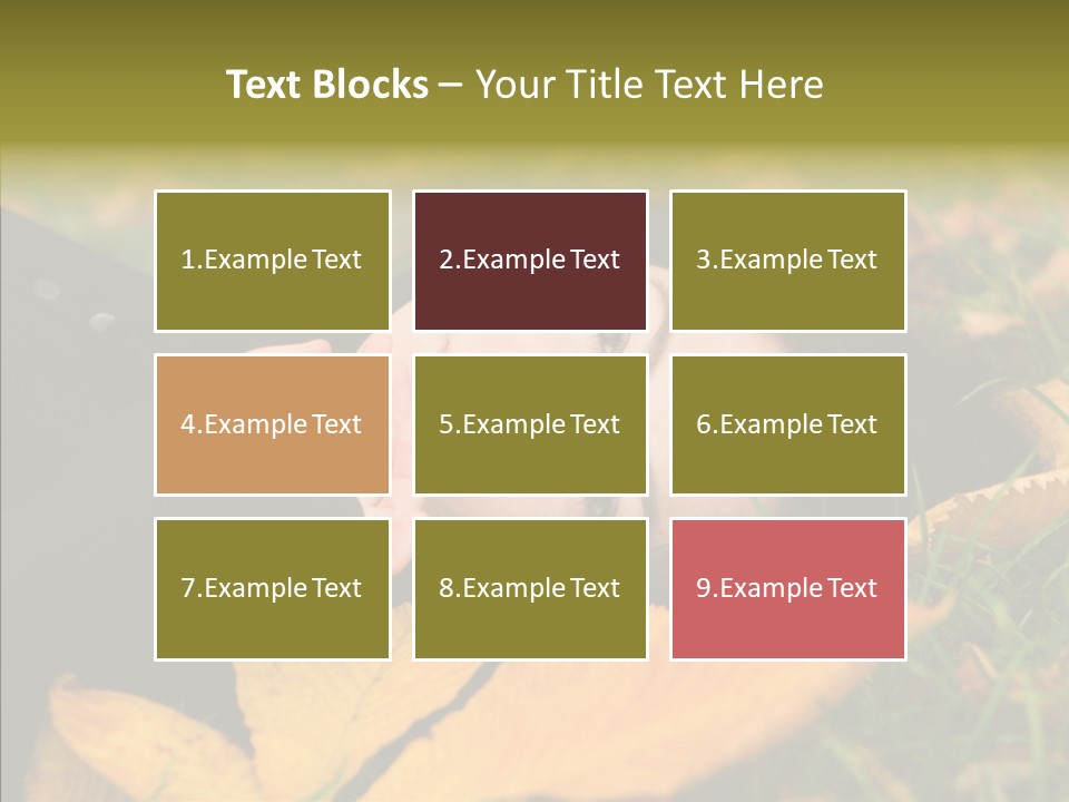 Lifestyles Clothing Maple PowerPoint Template