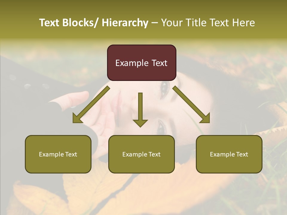 Lifestyles Clothing Maple PowerPoint Template