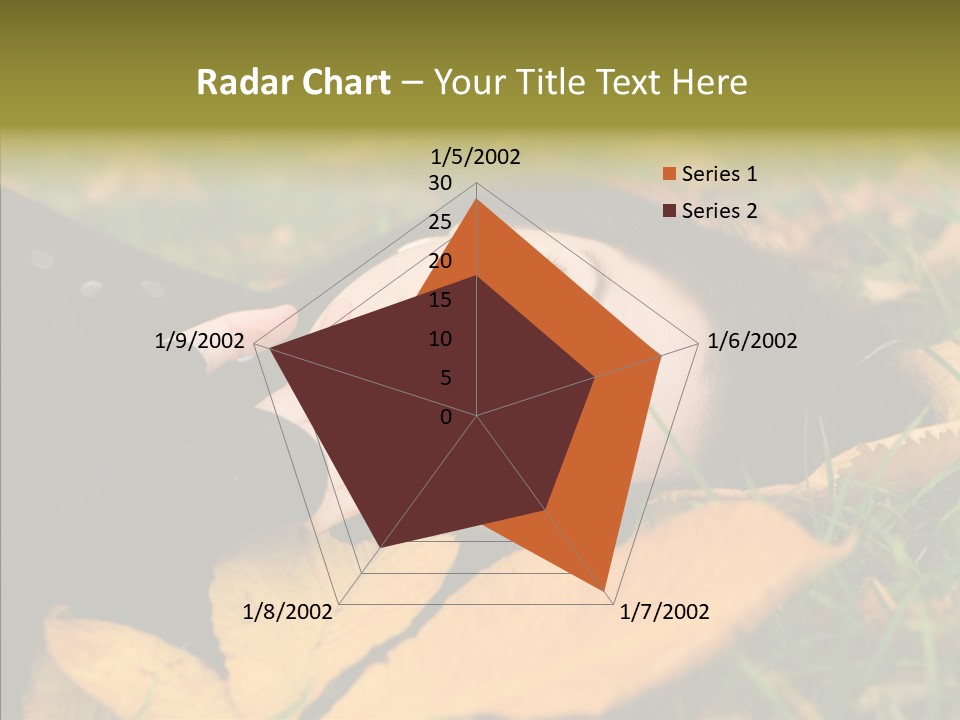 Lifestyles Clothing Maple PowerPoint Template