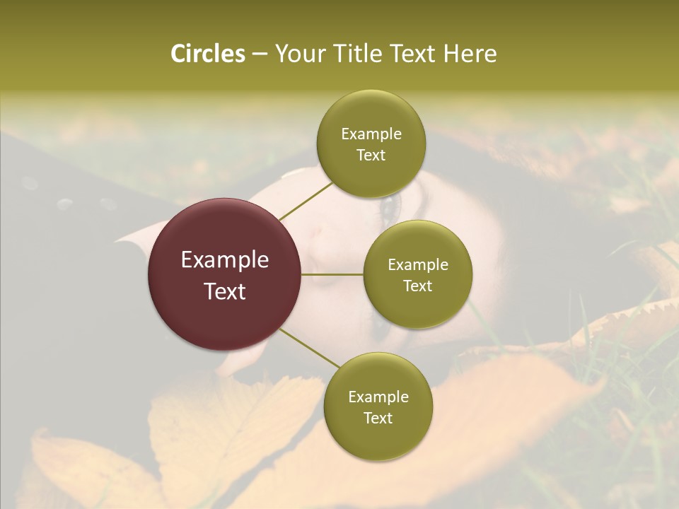 Lifestyles Clothing Maple PowerPoint Template