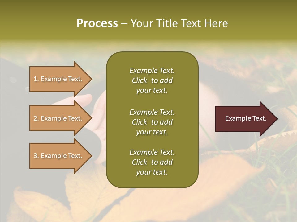 Lifestyles Clothing Maple PowerPoint Template