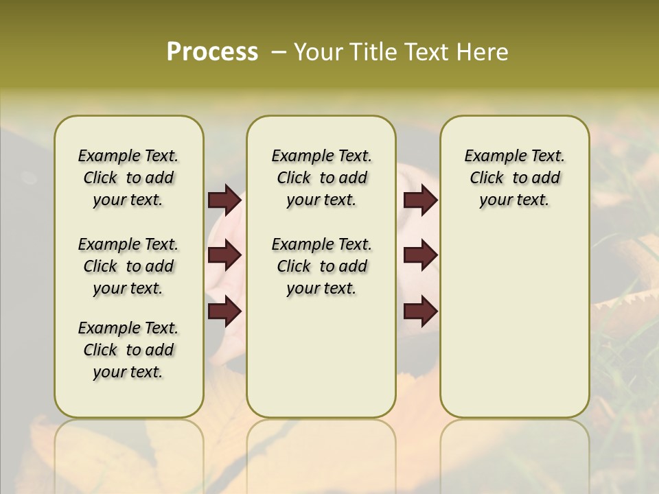 Lifestyles Clothing Maple PowerPoint Template
