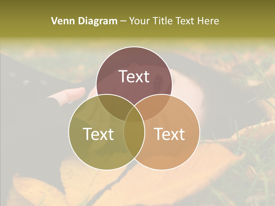 Lifestyles Clothing Maple PowerPoint Template