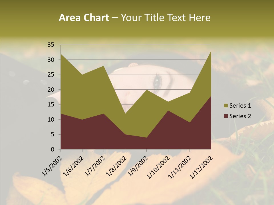 Lifestyles Clothing Maple PowerPoint Template