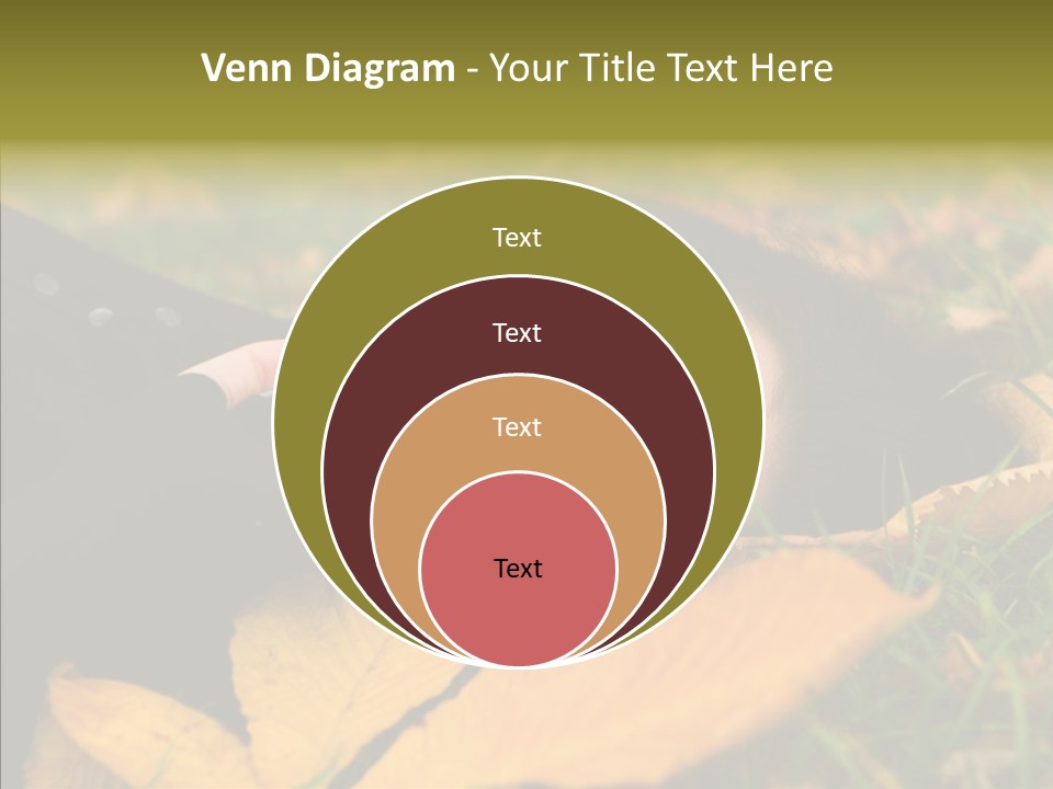 Lifestyles Clothing Maple PowerPoint Template