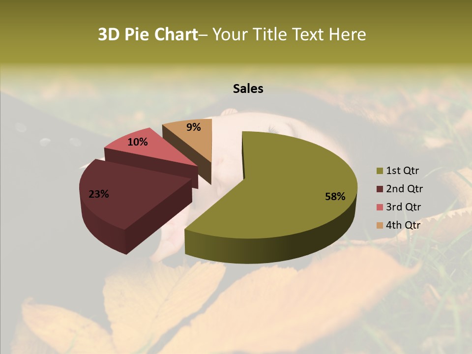 Lifestyles Clothing Maple PowerPoint Template