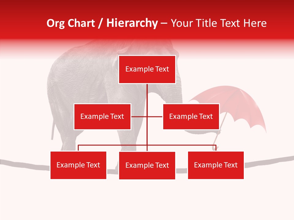 White Tightrope Successful PowerPoint Template