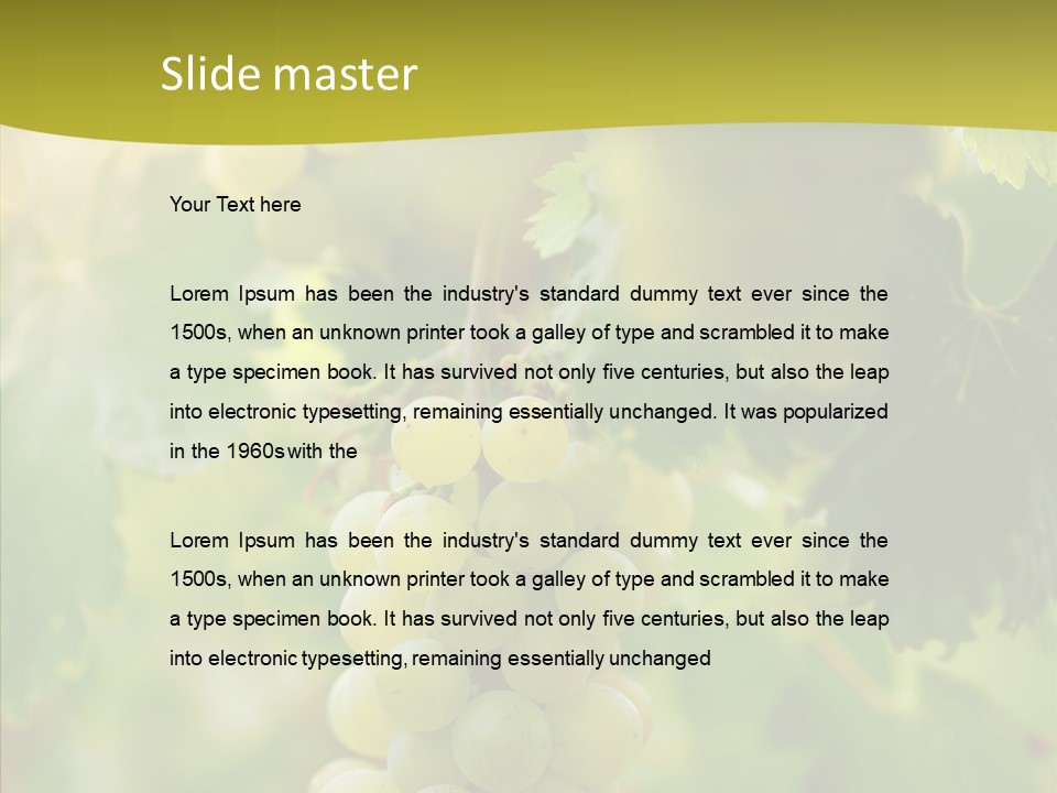 Bright Winemaking Beauty PowerPoint Template