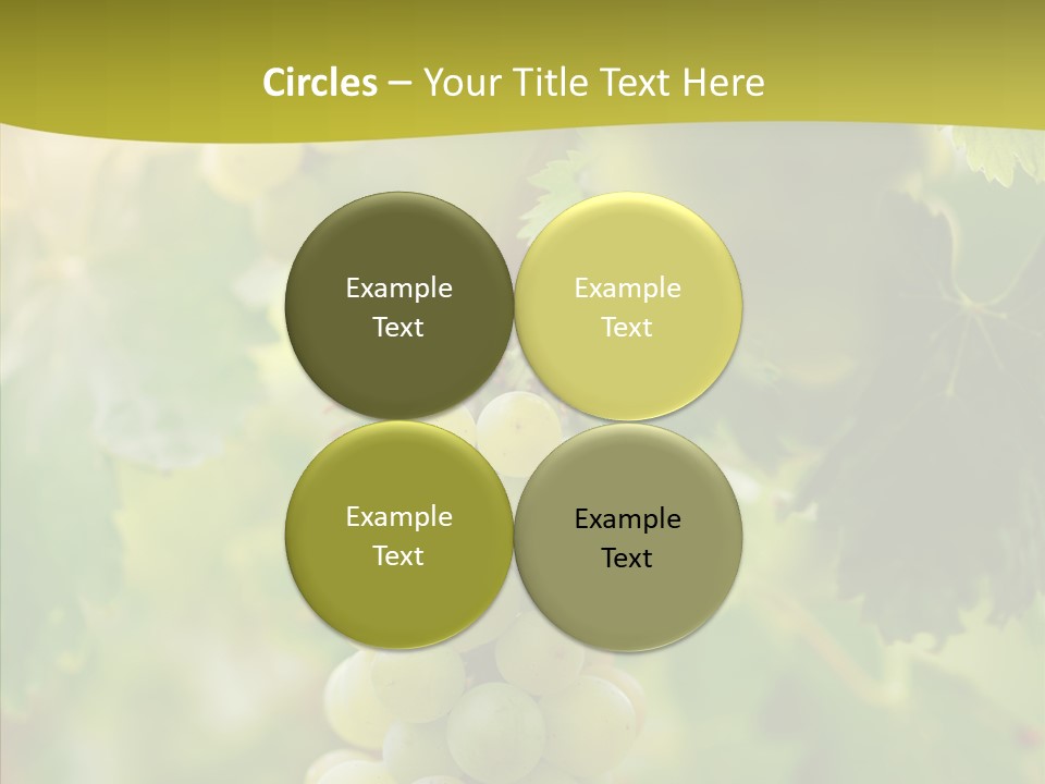 Bright Winemaking Beauty PowerPoint Template