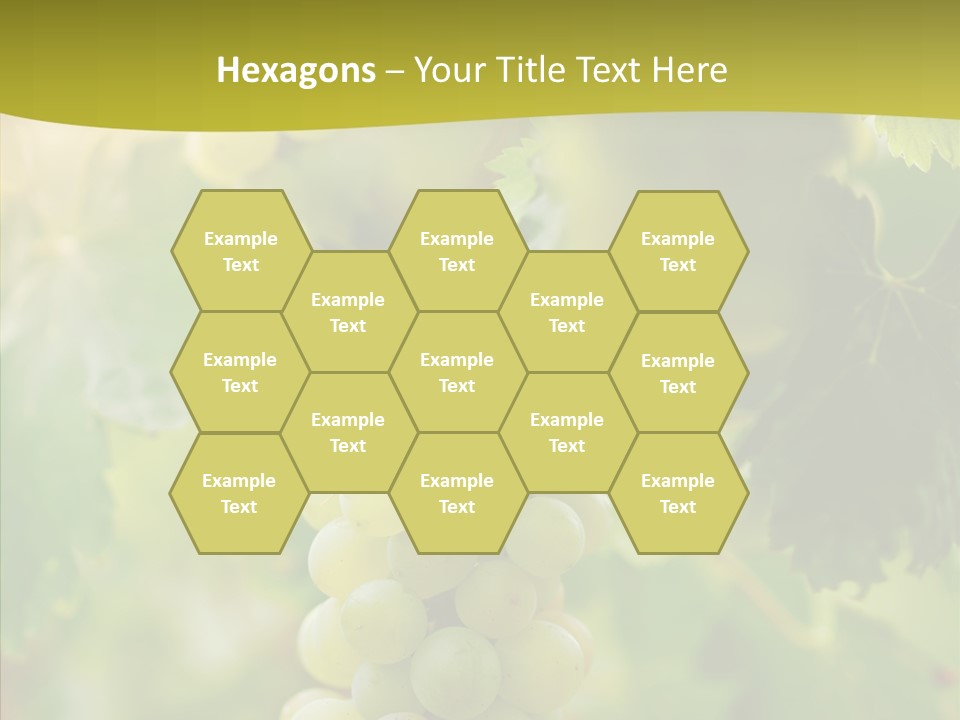 Bright Winemaking Beauty PowerPoint Template