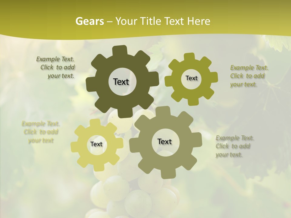 Bright Winemaking Beauty PowerPoint Template