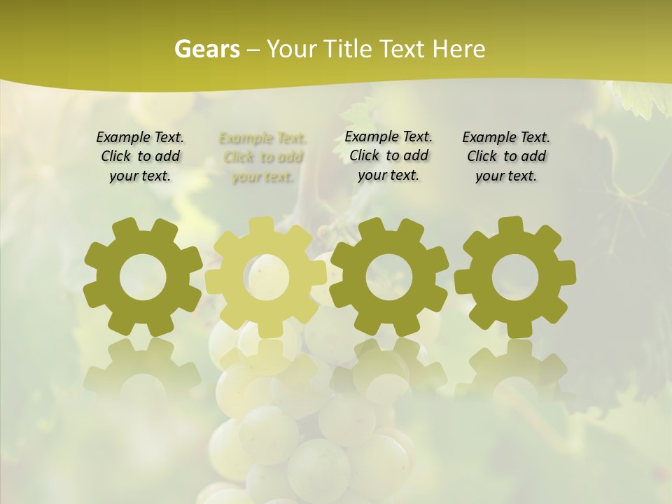 Bright Winemaking Beauty PowerPoint Template