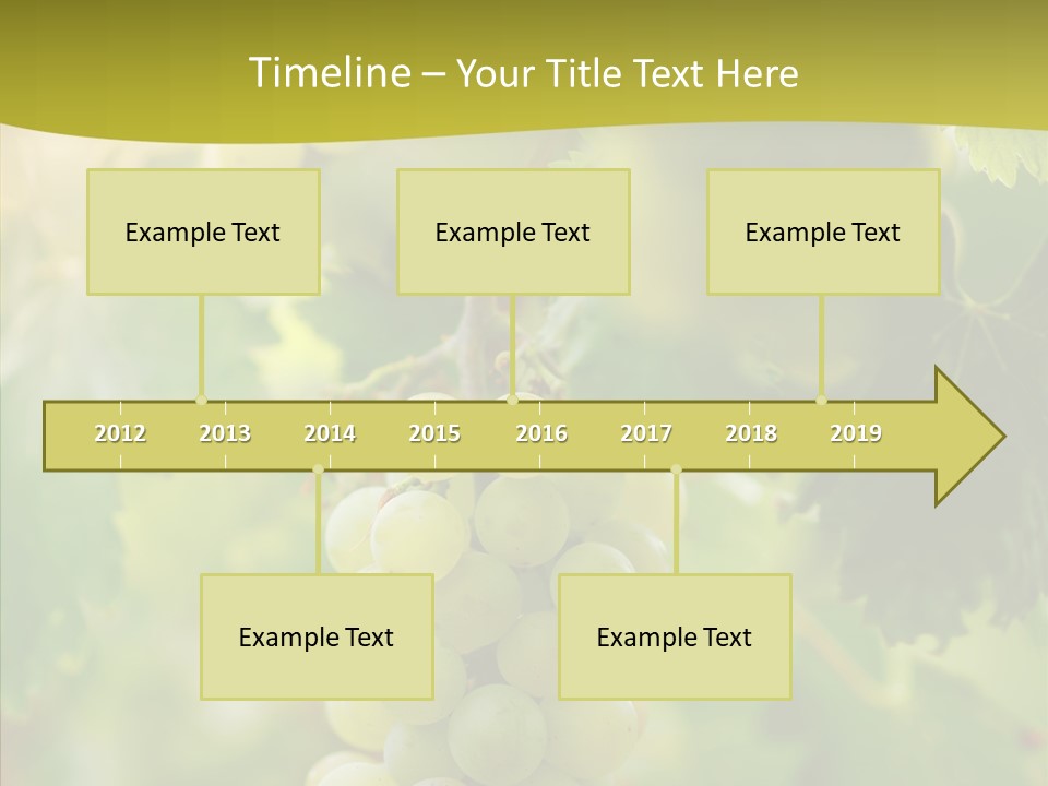 Bright Winemaking Beauty PowerPoint Template