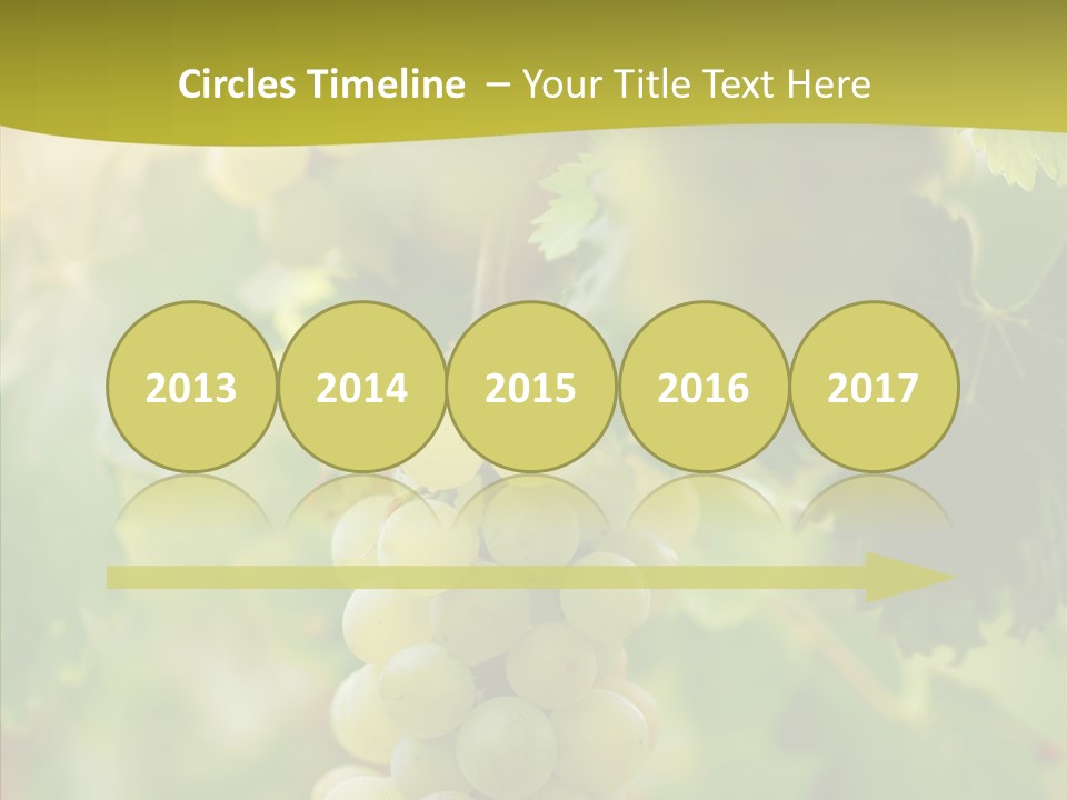 Bright Winemaking Beauty PowerPoint Template
