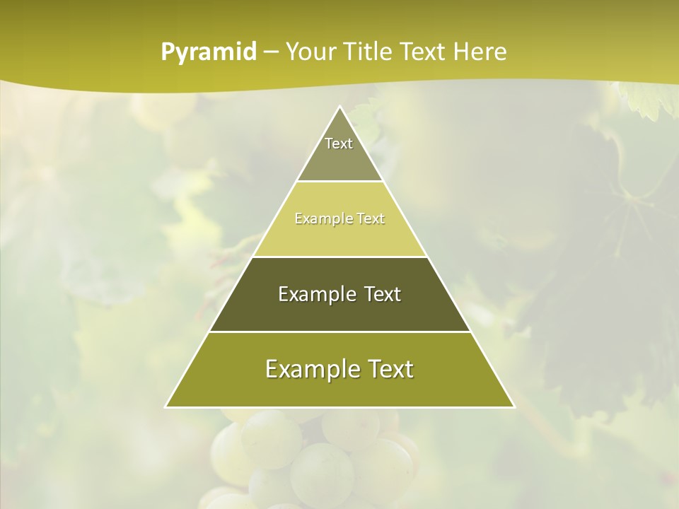 Bright Winemaking Beauty PowerPoint Template