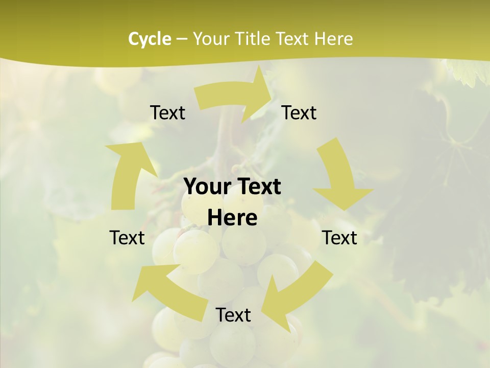 Bright Winemaking Beauty PowerPoint Template