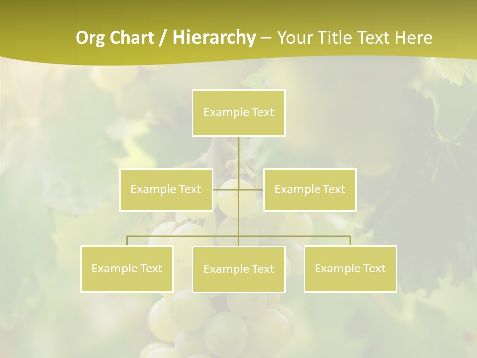 Bright Winemaking Beauty PowerPoint Template