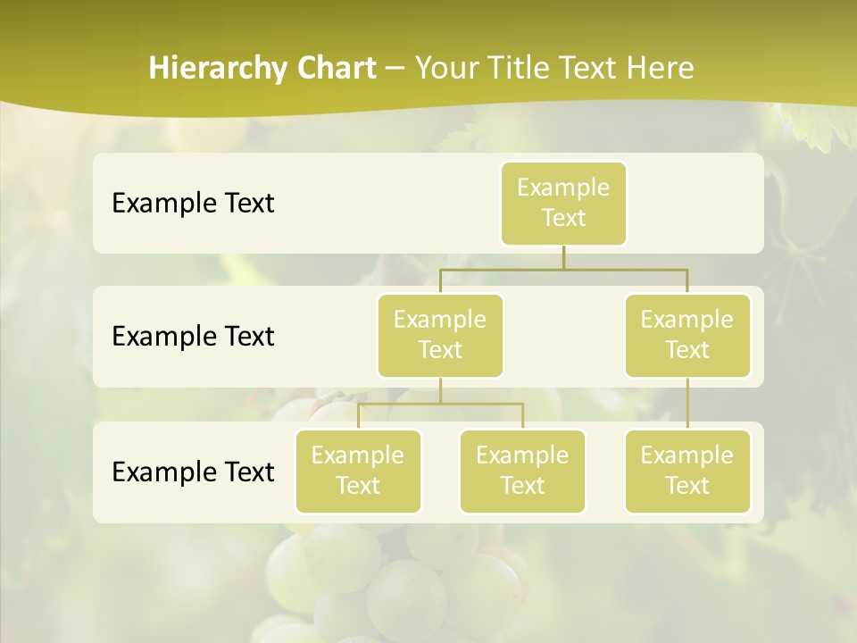 Bright Winemaking Beauty PowerPoint Template