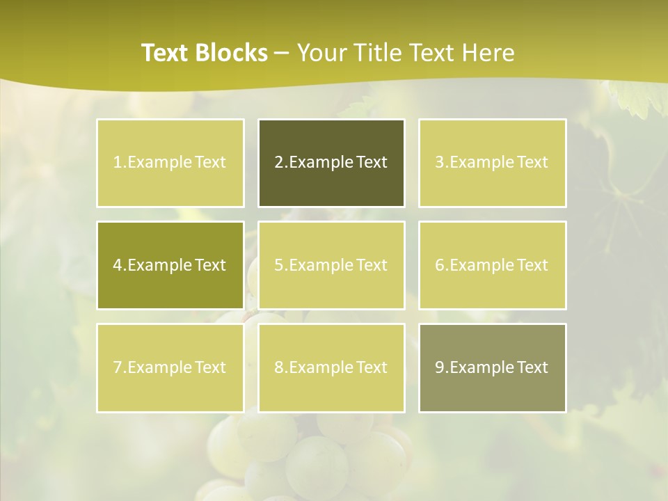 Bright Winemaking Beauty PowerPoint Template