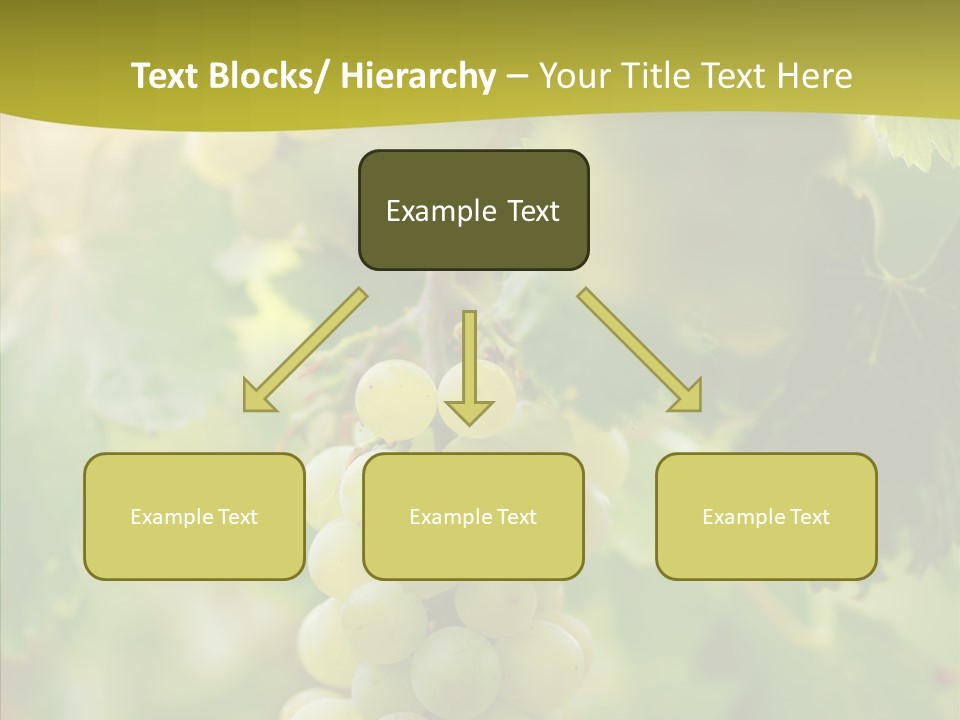 Bright Winemaking Beauty PowerPoint Template