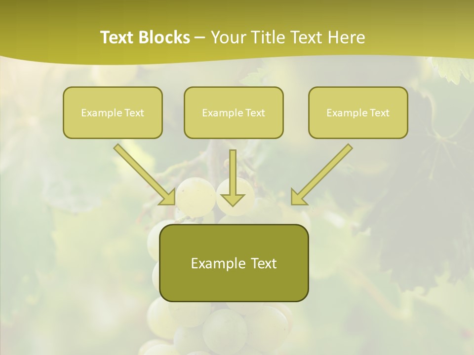 Bright Winemaking Beauty PowerPoint Template