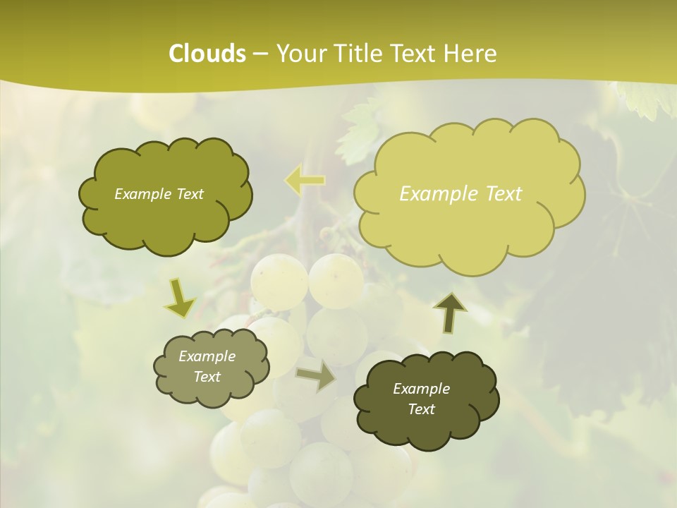 Bright Winemaking Beauty PowerPoint Template