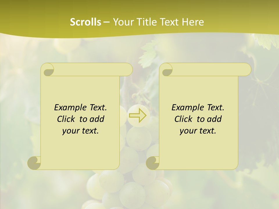 Bright Winemaking Beauty PowerPoint Template