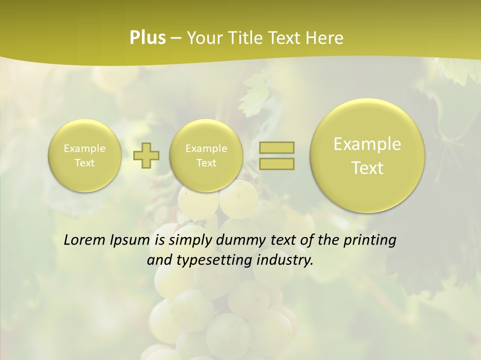 Bright Winemaking Beauty PowerPoint Template
