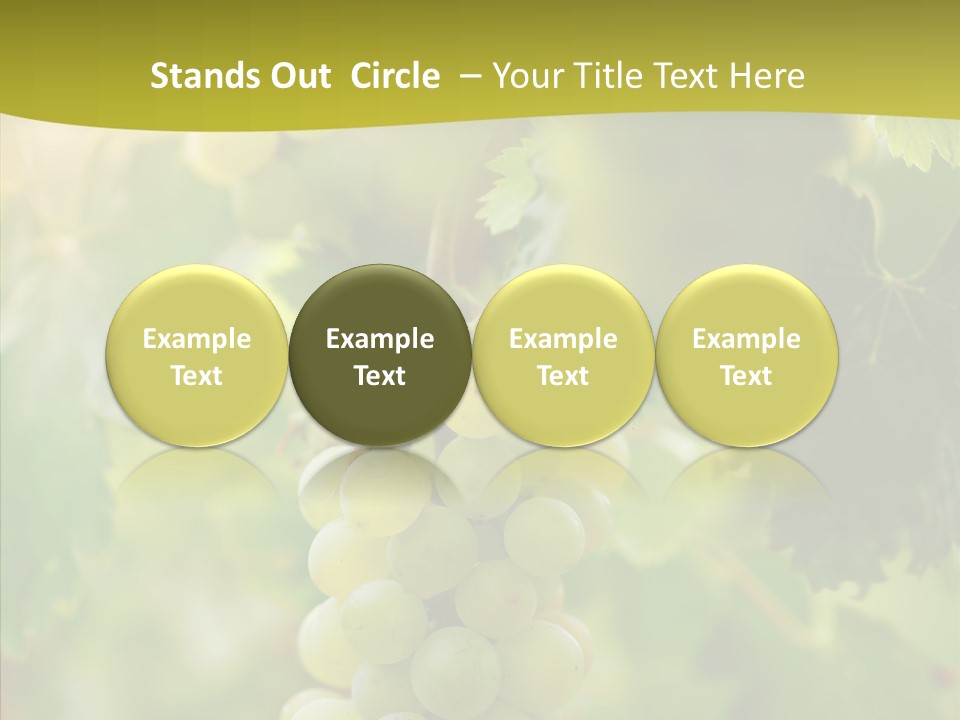 Bright Winemaking Beauty PowerPoint Template