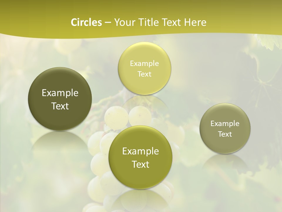 Bright Winemaking Beauty PowerPoint Template