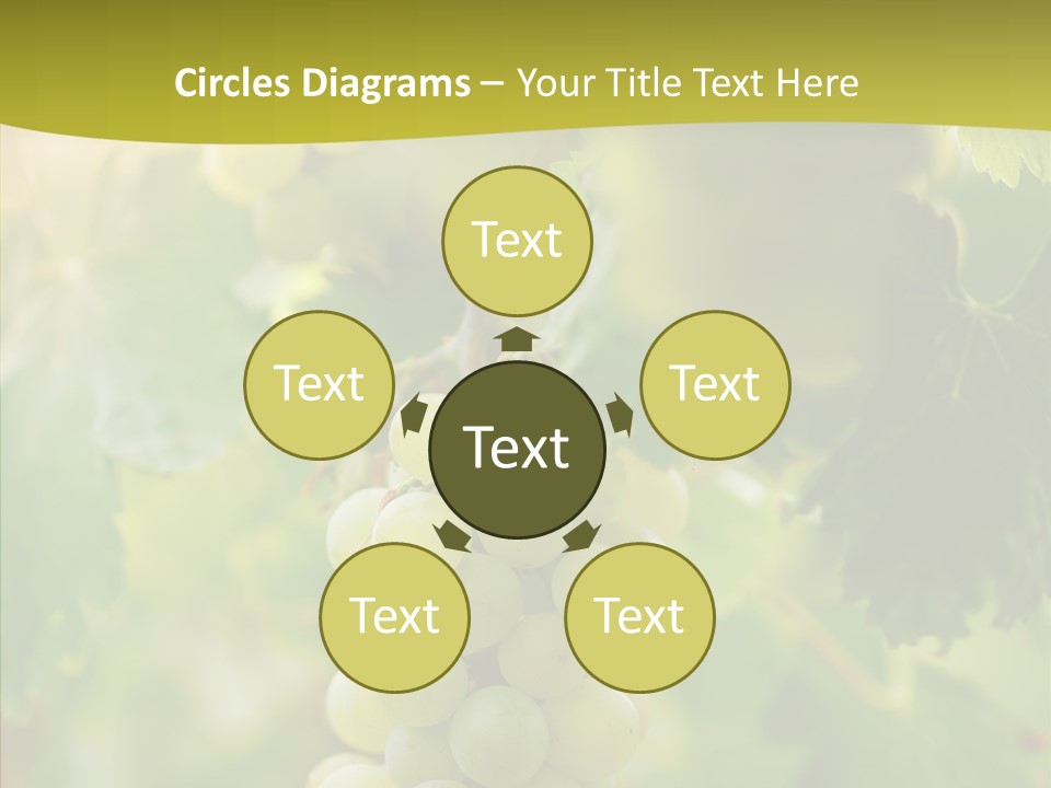 Bright Winemaking Beauty PowerPoint Template