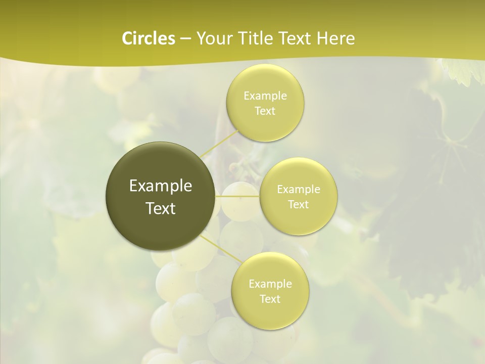 Bright Winemaking Beauty PowerPoint Template