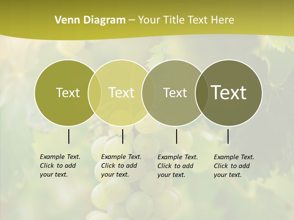 Bright Winemaking Beauty PowerPoint Template