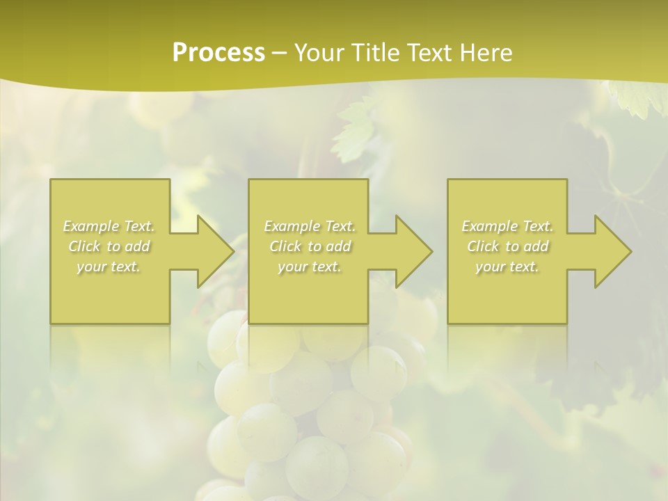 Bright Winemaking Beauty PowerPoint Template