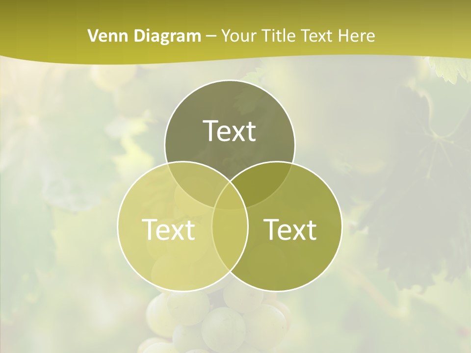 Bright Winemaking Beauty PowerPoint Template