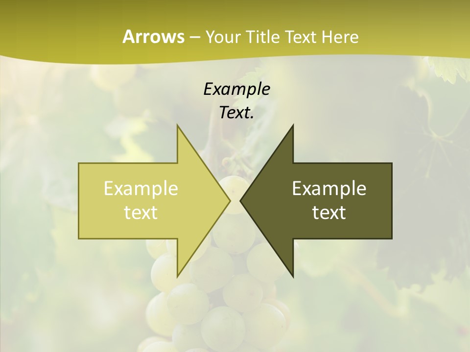 Bright Winemaking Beauty PowerPoint Template