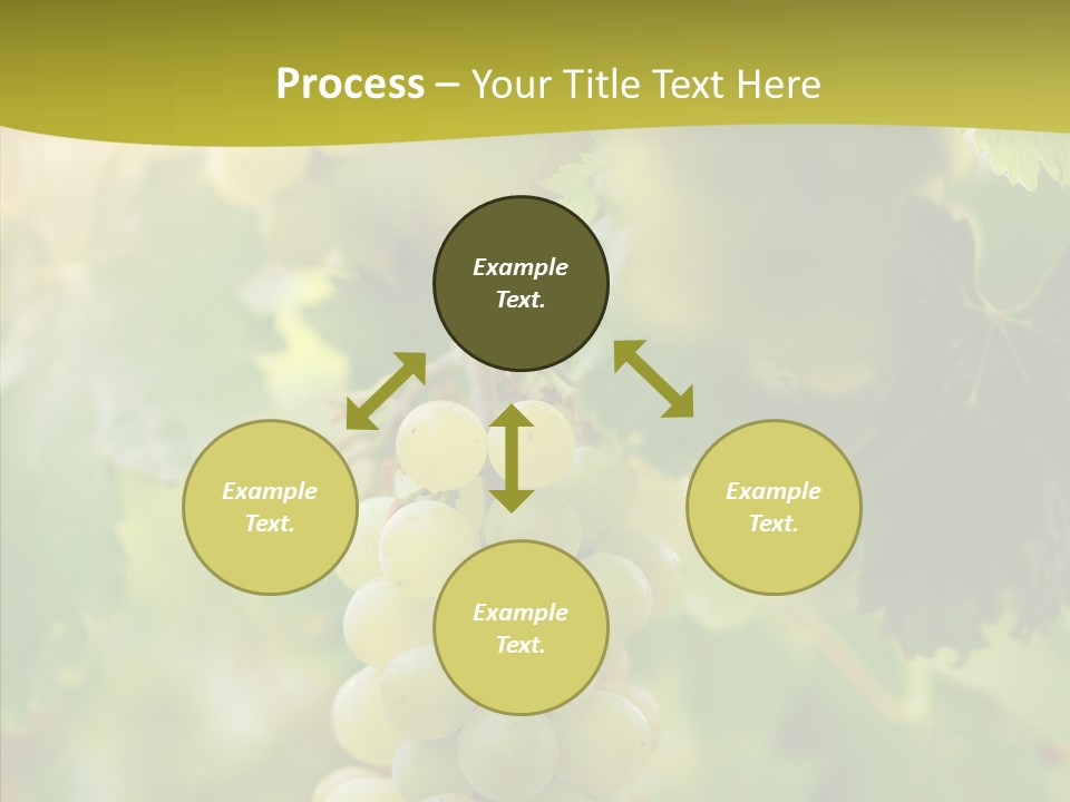 Bright Winemaking Beauty PowerPoint Template