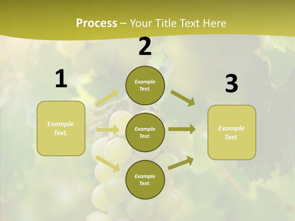 Bright Winemaking Beauty PowerPoint Template