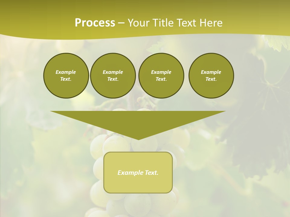 Bright Winemaking Beauty PowerPoint Template
