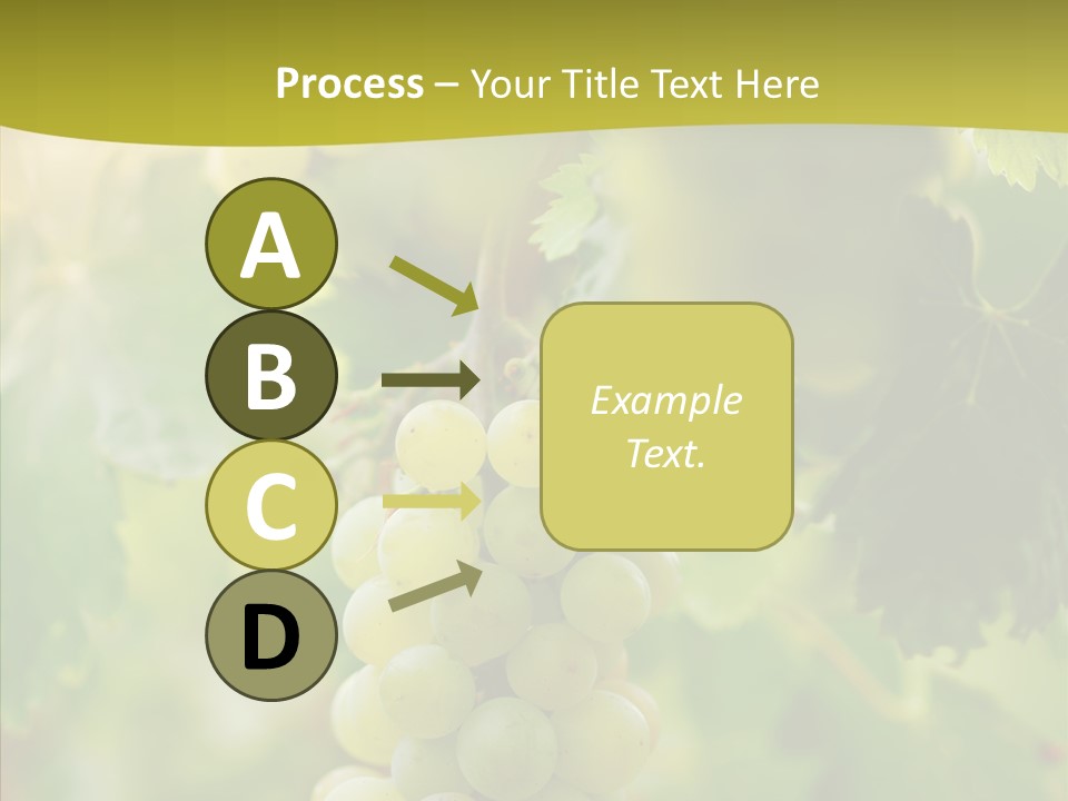 Bright Winemaking Beauty PowerPoint Template