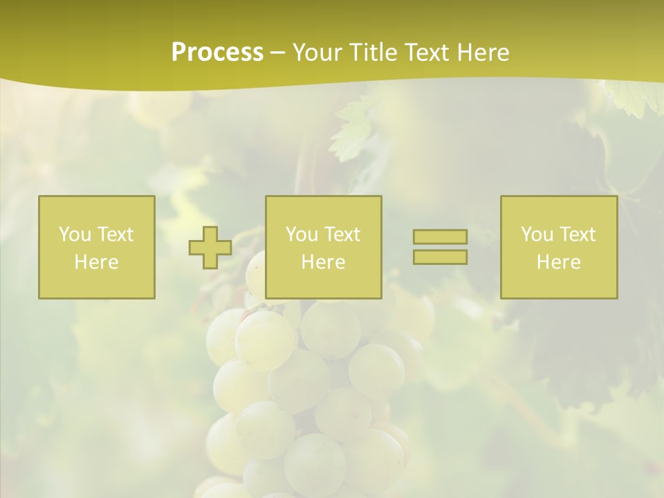 Bright Winemaking Beauty PowerPoint Template