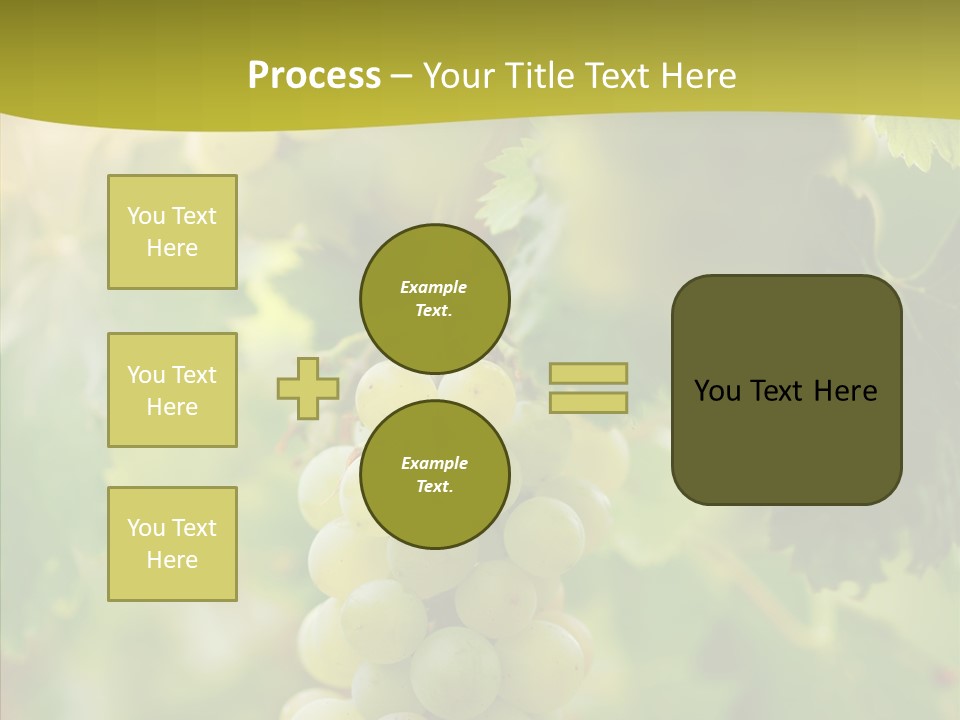 Bright Winemaking Beauty PowerPoint Template