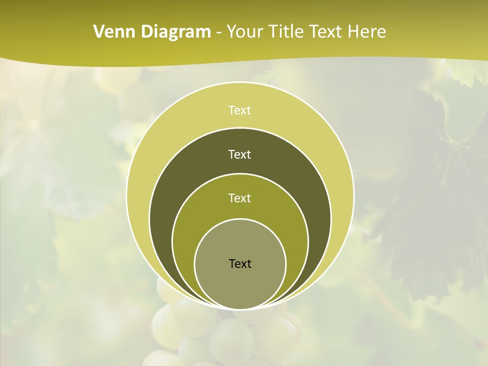 Bright Winemaking Beauty PowerPoint Template