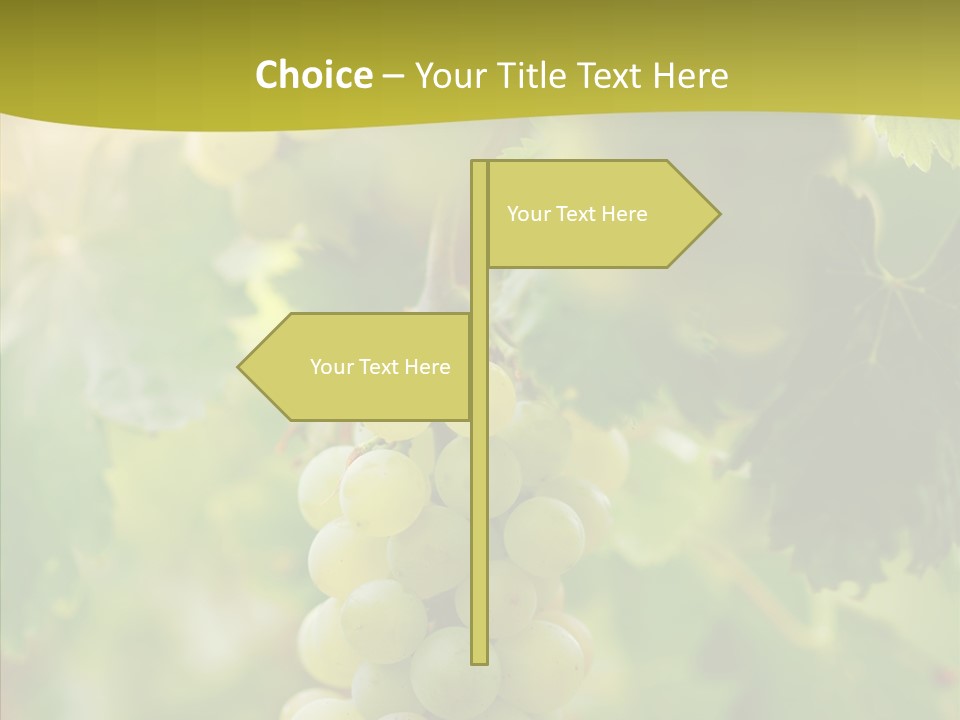 Bright Winemaking Beauty PowerPoint Template