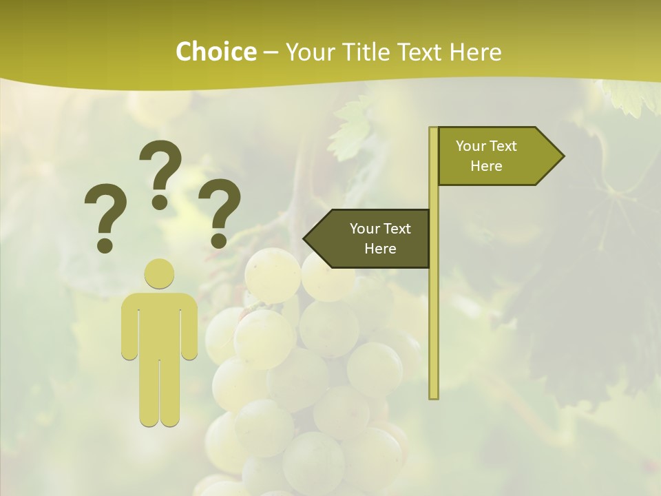 Bright Winemaking Beauty PowerPoint Template