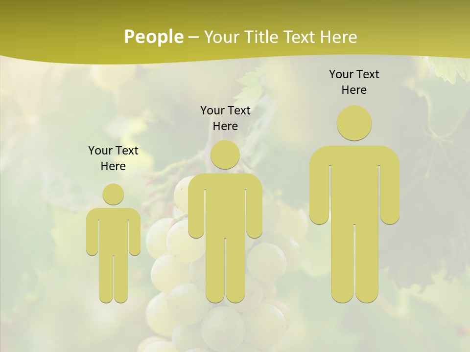 Bright Winemaking Beauty PowerPoint Template