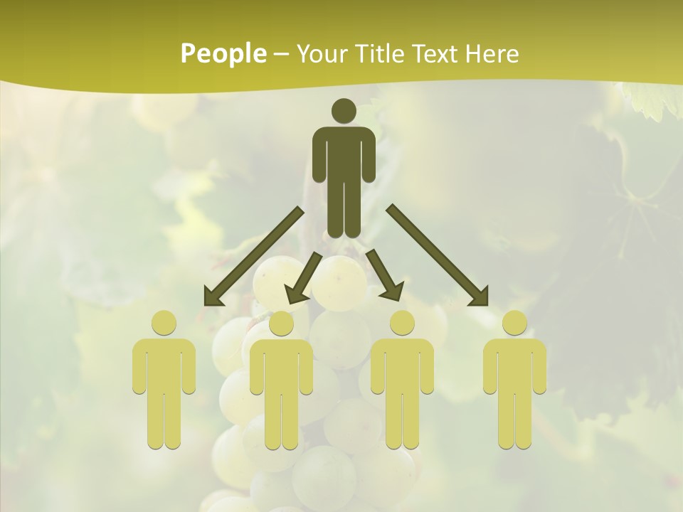 Bright Winemaking Beauty PowerPoint Template