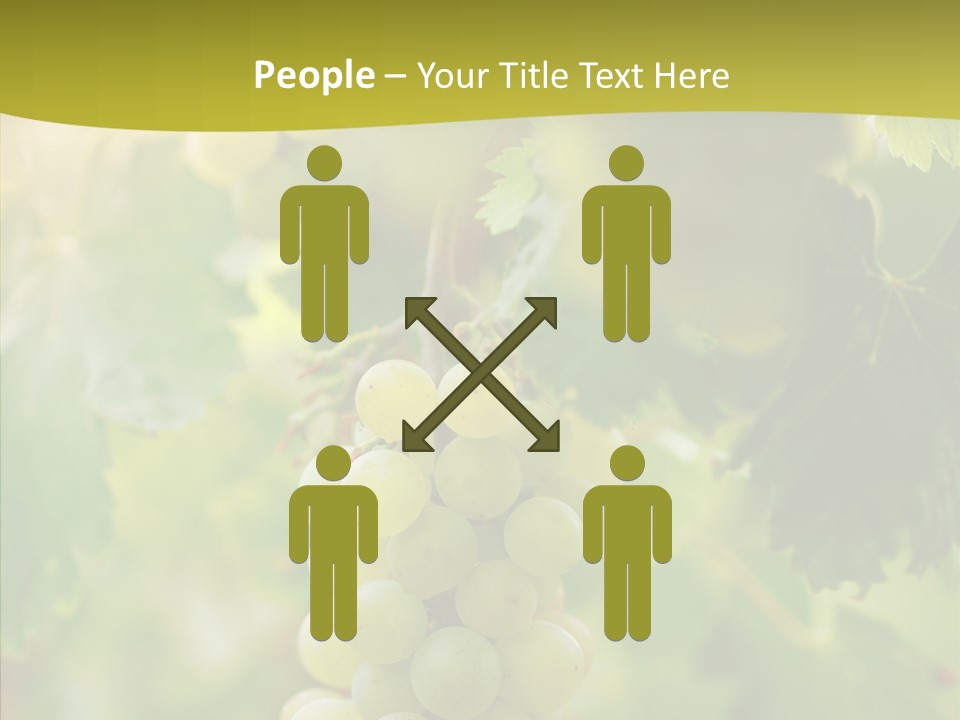 Bright Winemaking Beauty PowerPoint Template