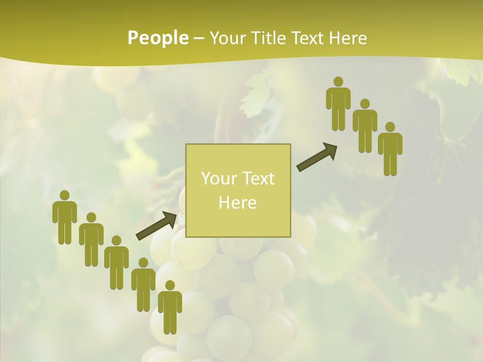 Bright Winemaking Beauty PowerPoint Template